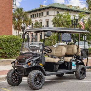 6 Seater Golf Cart