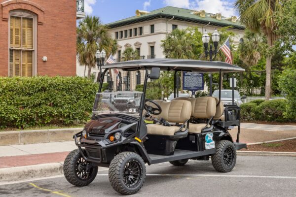 6 Seater Golf Cart