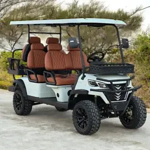 6 Seater Golf Cart