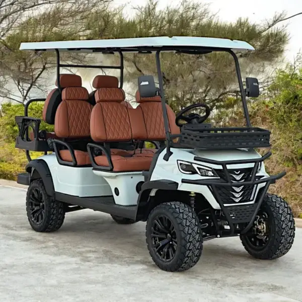 6 Seater Golf Cart