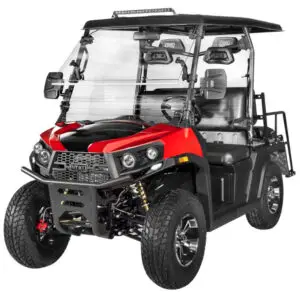 4 Seater Golf Cart