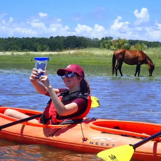 Amelia Island Kayak Excursions