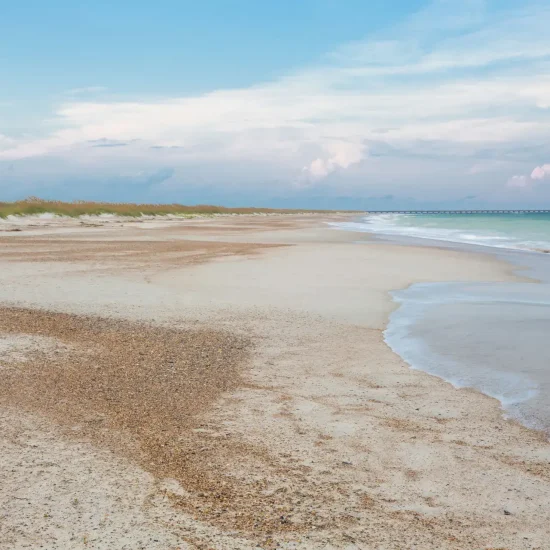 Amelia Island State Park
