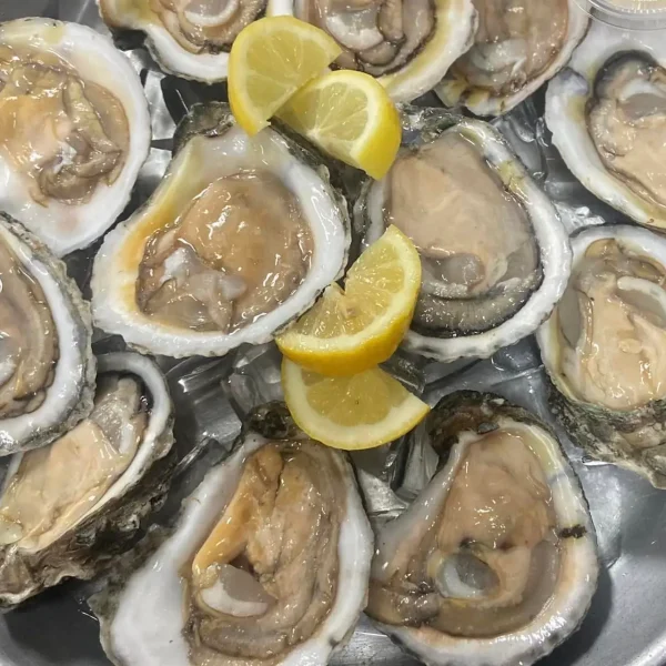 Shucker's Oyster Bar and Grill