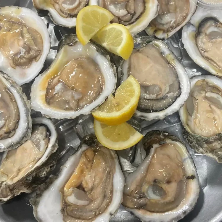 Shucker's Oyster Bar & Grill