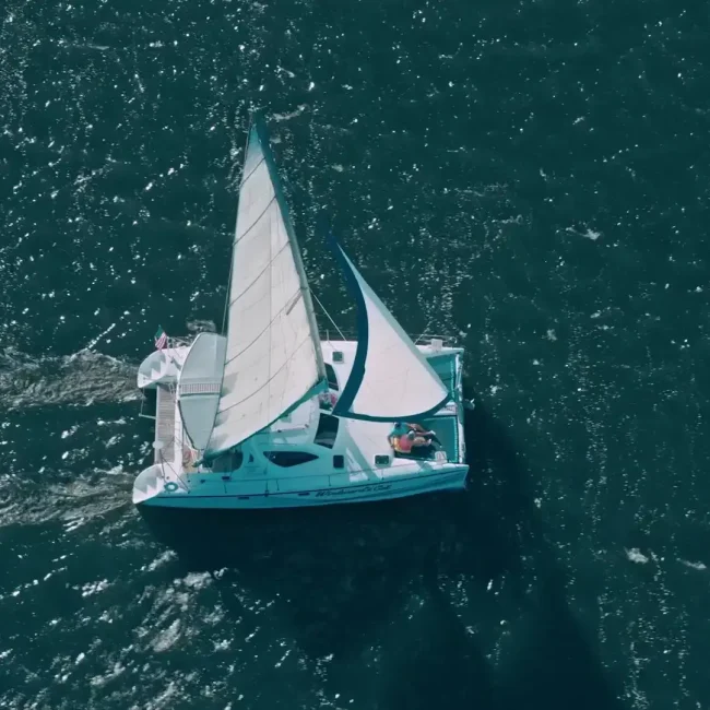 Windward Sailing